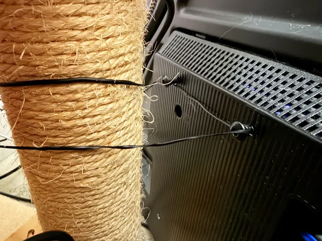 The tie: a wire wrapped around a sisal post of the cat tree and fixed to screws in the TV's mounting holes.