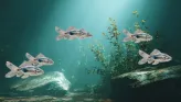 Kitiki hunt scene: small silver fish underwater